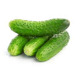 Ground Bumpy Cucumber