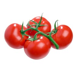 Cluster Tomato (fruit-on-the-vine)