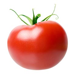 Large-Fruit Tomato